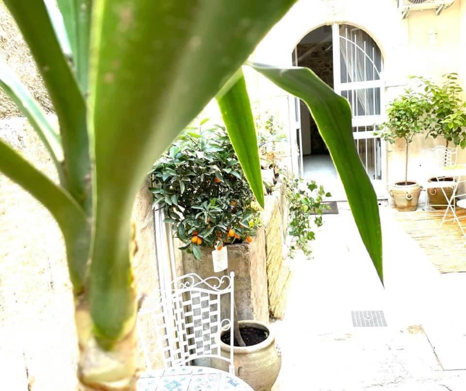 LEMON SUITE Ortigia Syrakus Exterior foto